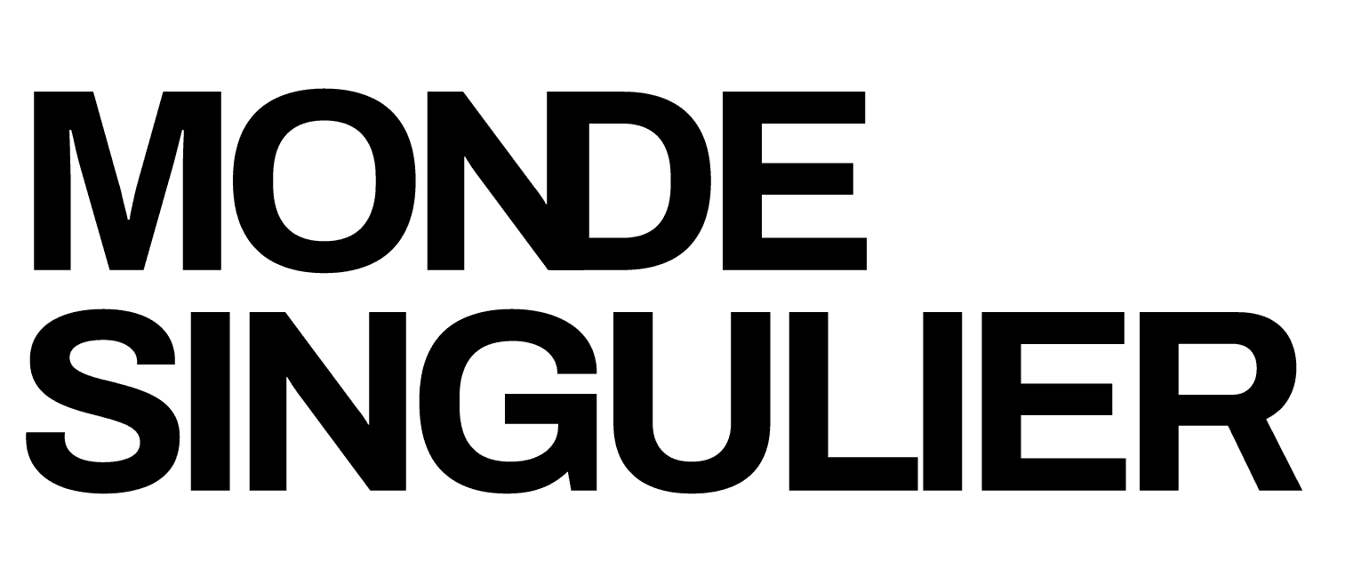 logo MS